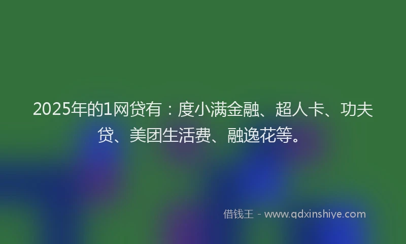 2025年的1网贷有：度小满金融、超人卡、功夫贷、美团生活费、融逸花等。
