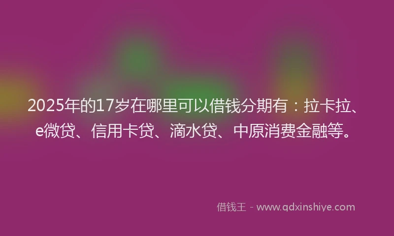 2025年的17岁在哪里可以借钱分期有：拉卡拉、e微贷、信用卡贷、滴水贷、中原消费金融等。