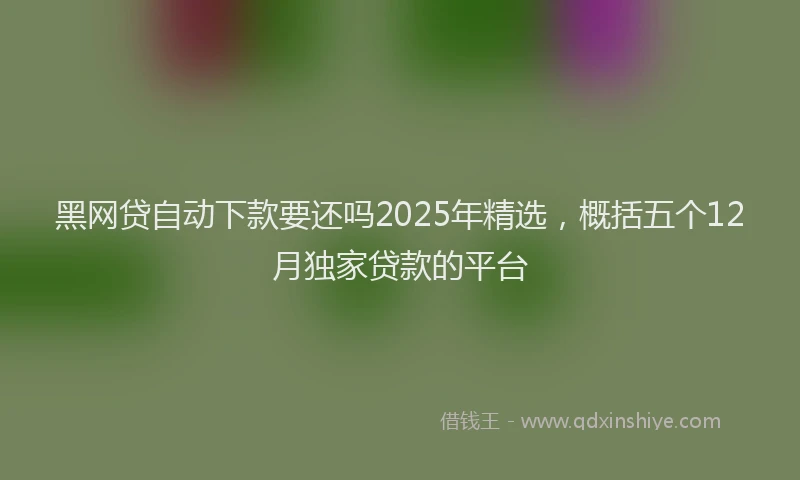 黑网贷自动下款要还吗2025年精选，概括五个12月独家贷款的平台