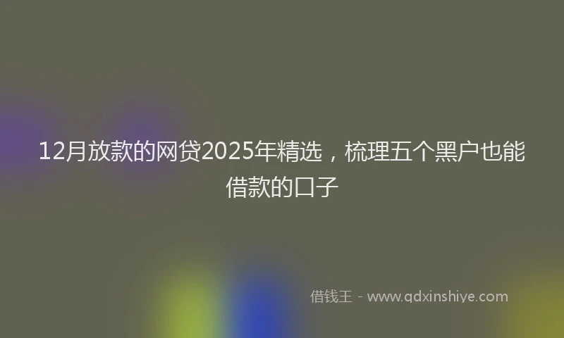 12月放款的网贷2025年精选，梳理五个黑户也能借款的口子