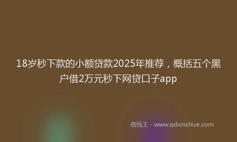 18岁秒下款的小额贷款2025年推荐，概括五个黑户借2万元秒下网贷口子app