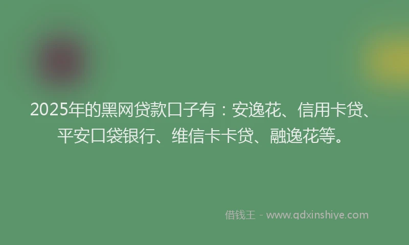 2025年的黑网贷款口子有：安逸花、信用卡贷、平安口袋银行、维信卡卡贷、融逸花等。