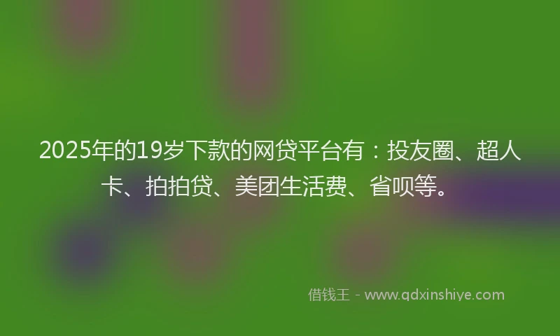 2025年的19岁下款的网贷平台有：投友圈、超人卡、拍拍贷、美团生活费、省呗等。