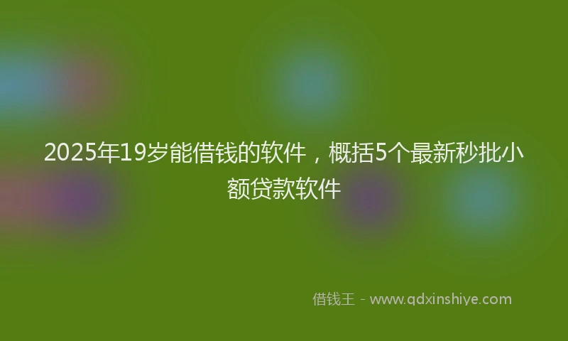 2025年19岁能借钱的软件，概括5个最新秒批小额贷款软件
