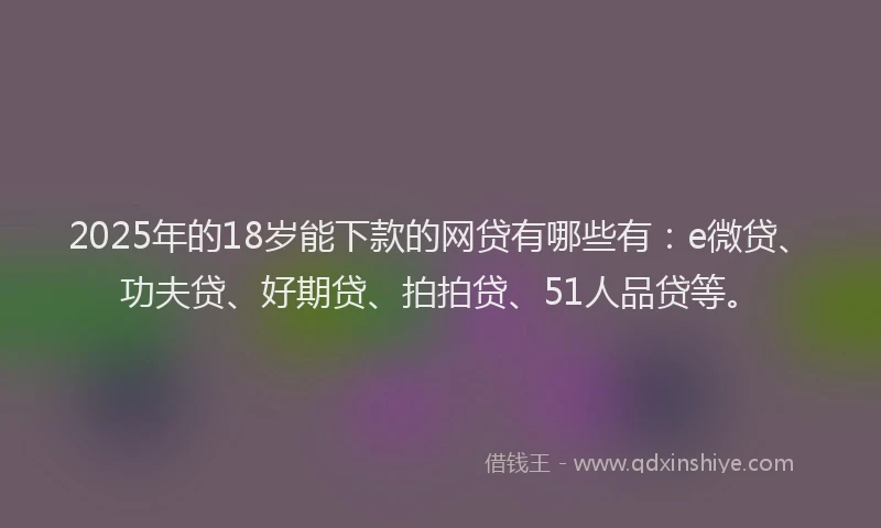 2025年的18岁能下款的网贷有哪些有：e微贷、功夫贷、好期贷、拍拍贷、51人品贷等。