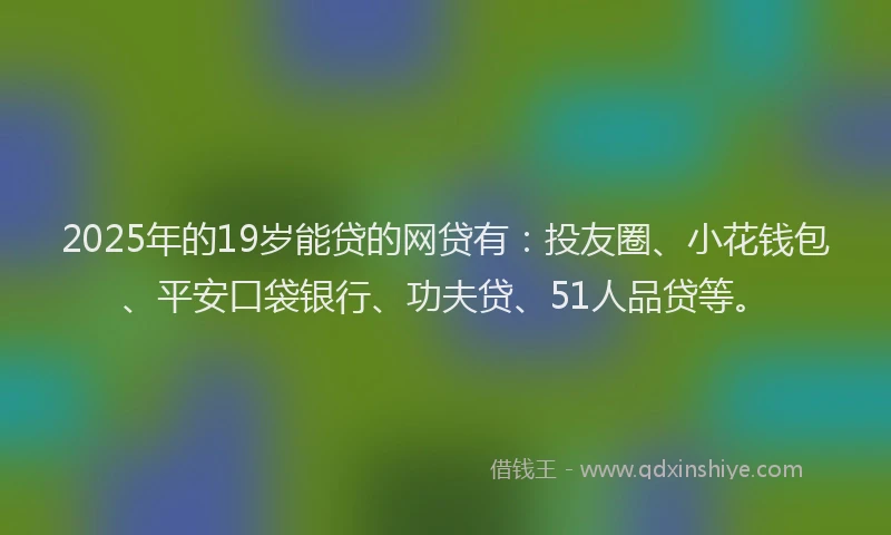 2025年的19岁能贷的网贷有：投友圈、小花钱包、平安口袋银行、功夫贷、51人品贷等。