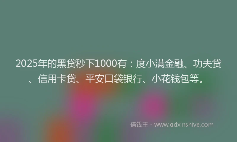 2025年的黑贷秒下1000有：度小满金融、功夫贷、信用卡贷、平安口袋银行、小花钱包等。