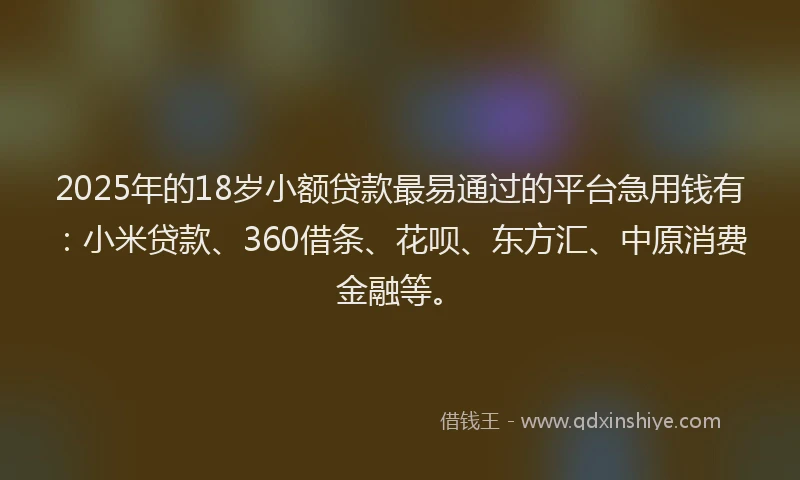 2025年的18岁小额贷款最易通过的平台急用钱有：小米贷款、360借条、花呗、东方汇、中原消费金融等。