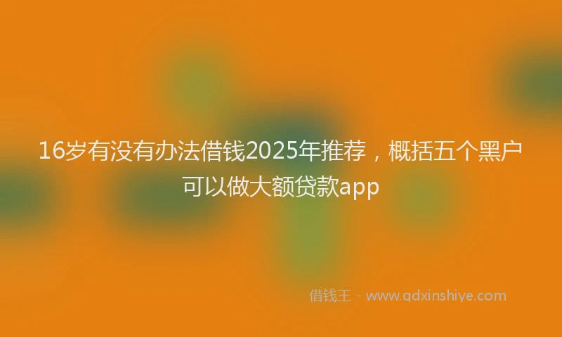 16岁有没有办法借钱2025年推荐，概括五个黑户可以做大额贷款app