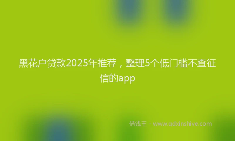 黑花户贷款2025年推荐，整理5个低门槛不查征信的app