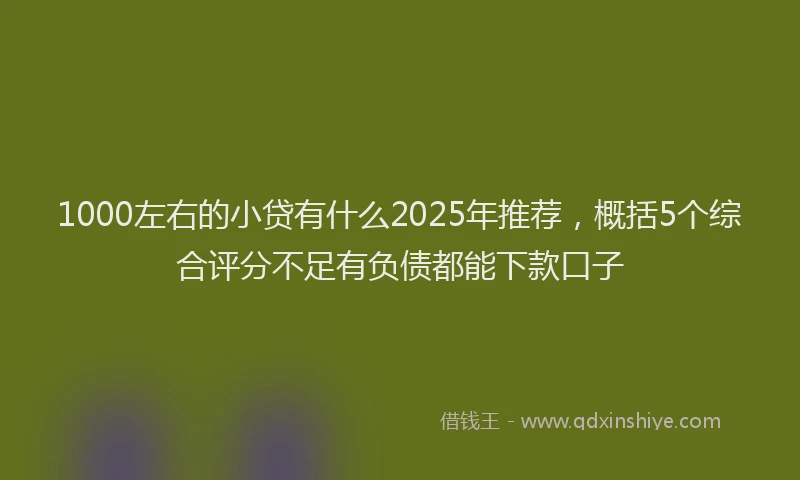 1000左右的小贷有什么2025年推荐，概括5个综合评分不足有负债都能下款口子