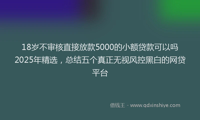 18岁不审核直接放款5000的小额贷款可以吗2025年精选，总结五个真正无视风控黑白的网贷平台