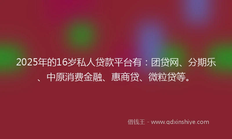 2025年的16岁私人贷款平台有：团贷网、分期乐、中原消费金融、惠商贷、微粒贷等。