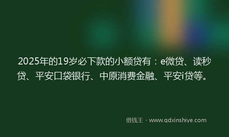 2025年的19岁必下款的小额贷有：e微贷、读秒贷、平安口袋银行、中原消费金融、平安i贷等。
