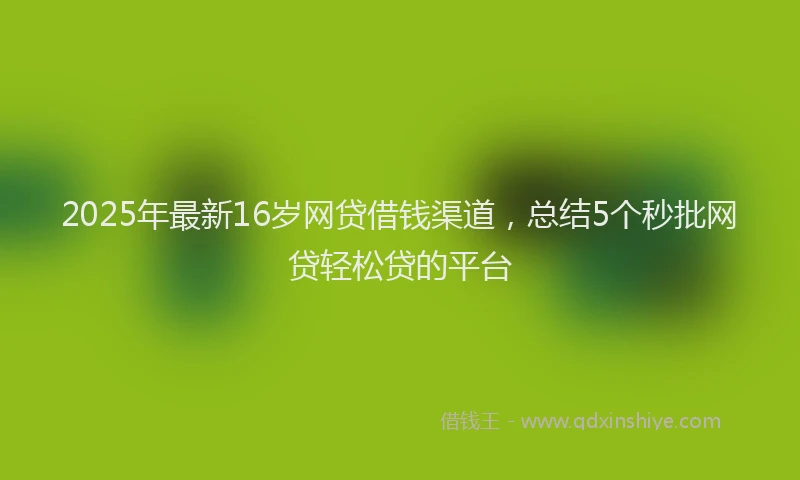 2025年最新16岁网贷借钱渠道，总结5个秒批网贷轻松贷的平台