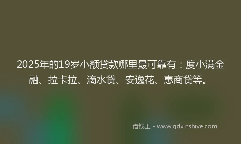 2025年的19岁小额贷款哪里最可靠有：度小满金融、拉卡拉、滴水贷、安逸花、惠商贷等。