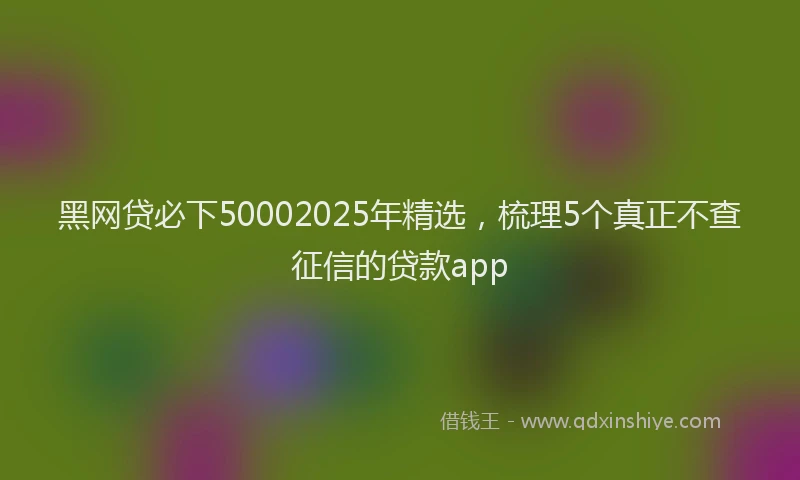 黑网贷必下50002025年精选，梳理5个真正不查征信的贷款app