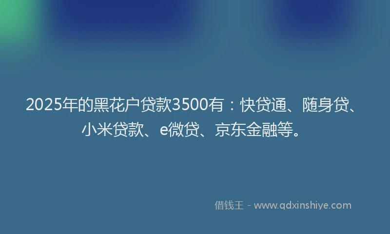 2025年的黑花户贷款3500有：快贷通、随身贷、小米贷款、e微贷、京东金融等。