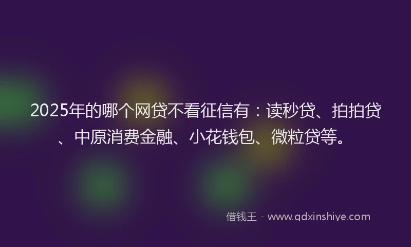 2025年的哪个网贷不看征信有:读秒贷、拍拍贷、中原消费金融、小花钱包、微粒贷等。