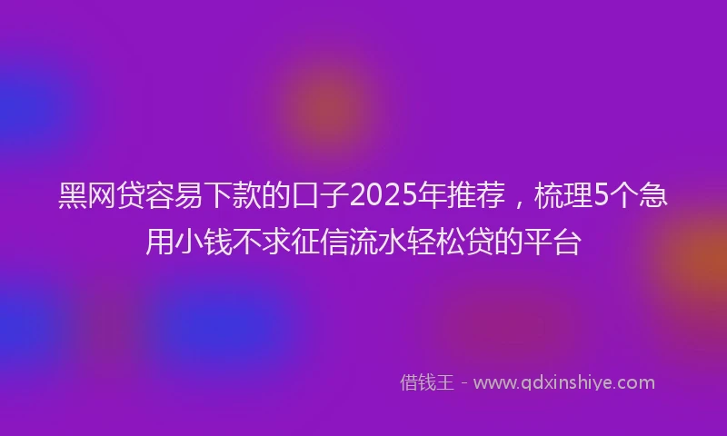 黑网贷容易下款的口子2025年推荐，梳理5个急用小钱不求征信流水轻松贷的平台