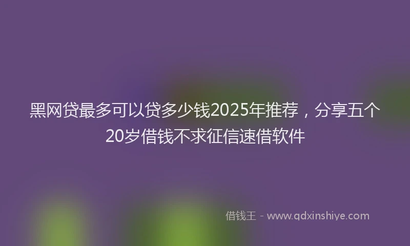 黑网贷最多可以贷多少钱2025年推荐，分享五个20岁借钱不求征信速借软件