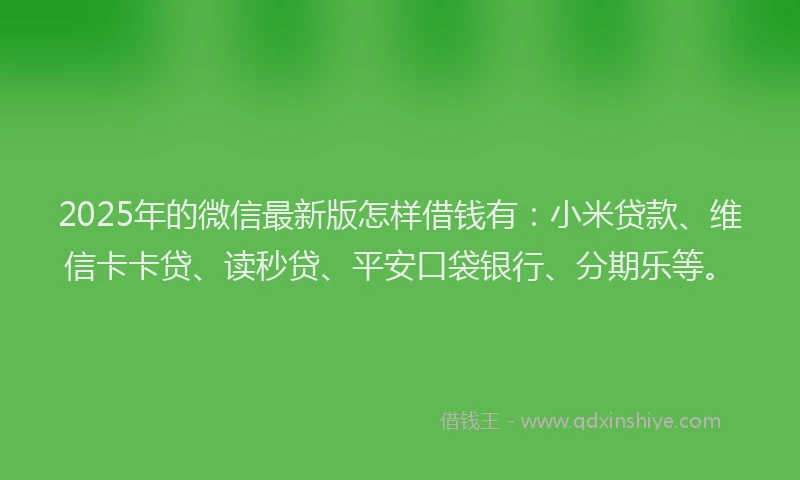 2025年的微信最新版怎样借钱有：小米贷款、维信卡卡贷、读秒贷、平安口袋银行、分期乐等。