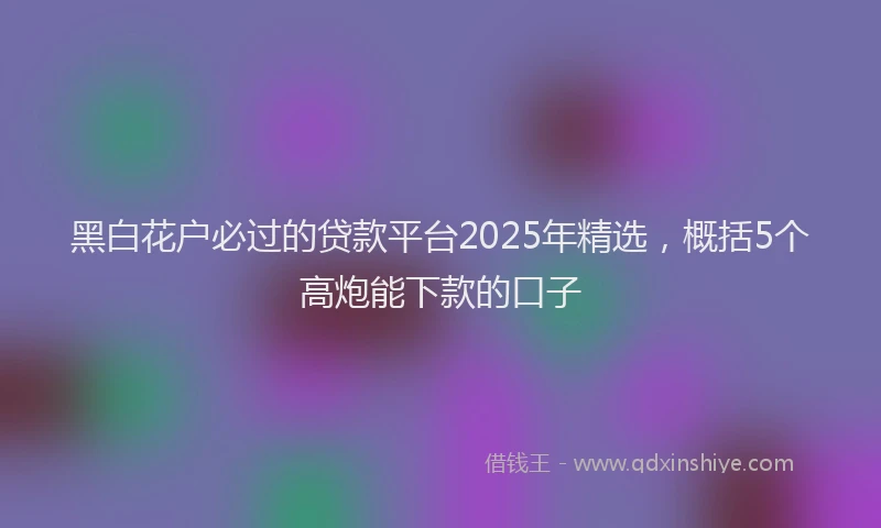 黑白花户必过的贷款平台2025年精选，概括5个高炮能下款的口子