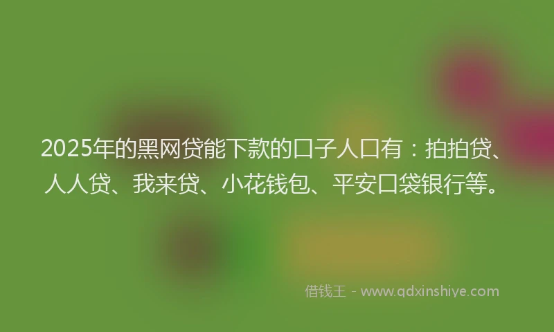 2025年的黑网贷能下款的口子人口有：拍拍贷、人人贷、我来贷、小花钱包、平安口袋银行等。