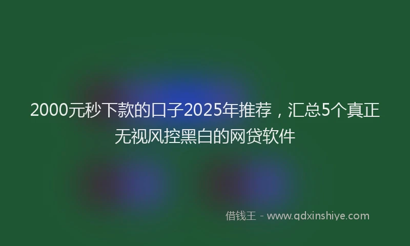 2000元秒下款的口子2025年推荐，汇总5个真正无视风控黑白的网贷软件
