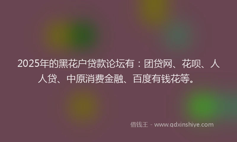 2025年的黑花户贷款论坛有：团贷网、花呗、人人贷、中原消费金融、百度有钱花等。