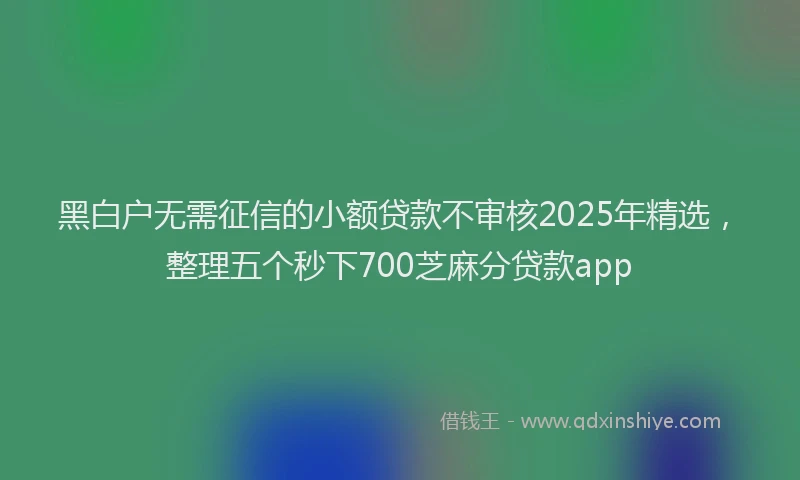 黑白户无需征信的小额贷款不审核2025年精选，整理五个秒下700芝麻分贷款app