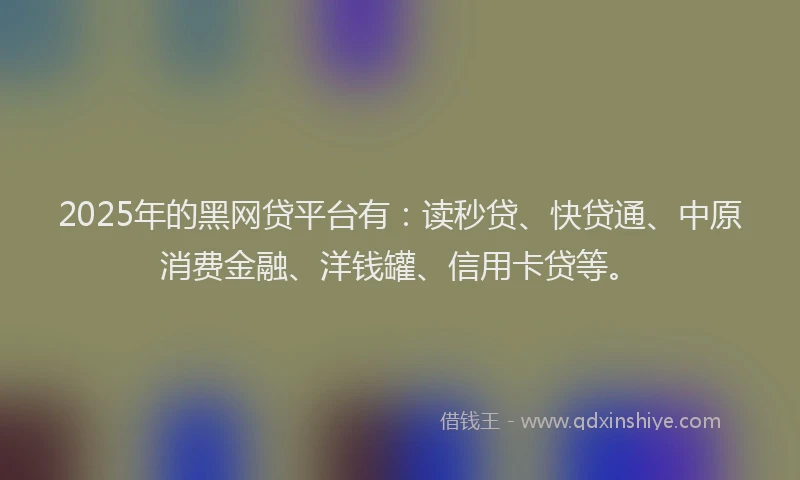 2025年的黑网贷平台有：读秒贷、快贷通、中原消费金融、洋钱罐、信用卡贷等。