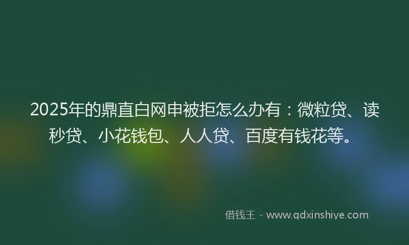 2025年的鼎直白网申被拒怎么办有：微粒贷、读秒贷、小花钱包、人人贷、百度有钱花等。