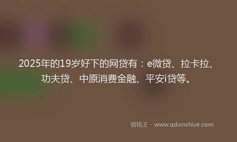 2025年的19岁好下的网贷有：e微贷、拉卡拉、功夫贷、中原消费金融、平安i贷等。
