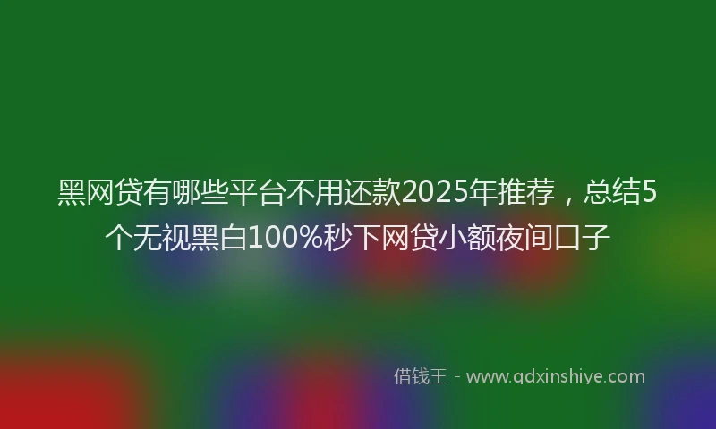 黑网贷有哪些平台不用还款2025年推荐，总结5个无视黑白100%秒下网贷小额夜间口子