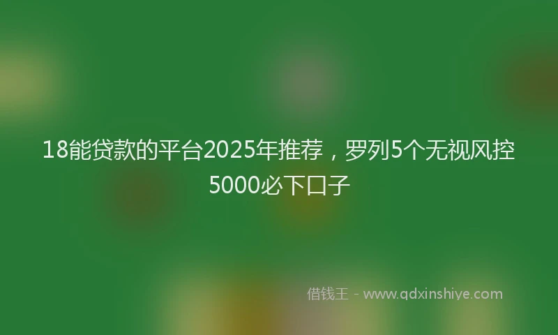 18能贷款的平台2025年推荐，罗列5个无视风控5000必下口子