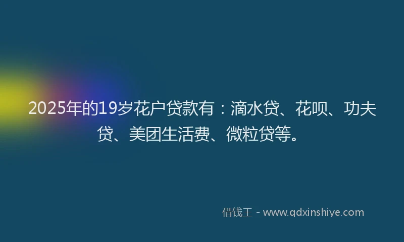2025年的19岁花户贷款有：滴水贷、花呗、功夫贷、美团生活费、微粒贷等。