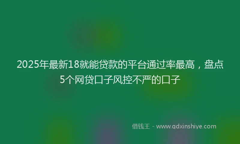2025年最新18就能贷款的平台通过率最高，盘点5个网贷口子风控不严的口子