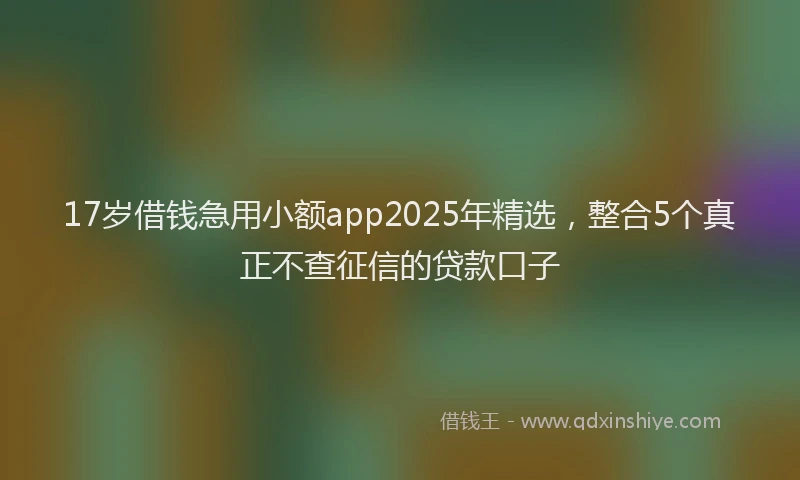 17岁借钱急用小额app2025年精选，整合5个真正不查征信的贷款口子