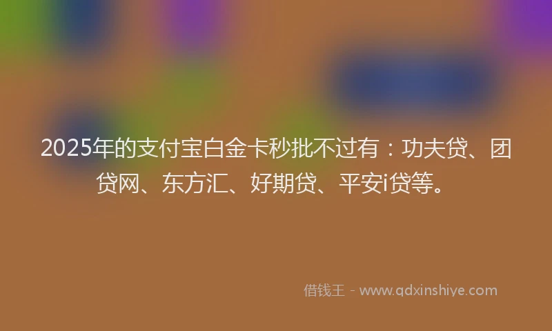 2025年的支付宝白金卡秒批不过有：功夫贷、团贷网、东方汇、好期贷、平安i贷等。