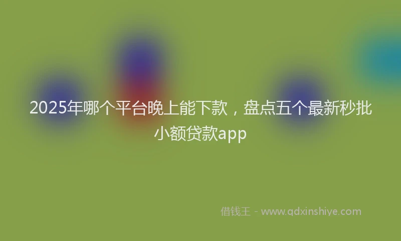 2025年哪个平台晚上能下款，盘点五个最新秒批小额贷款app