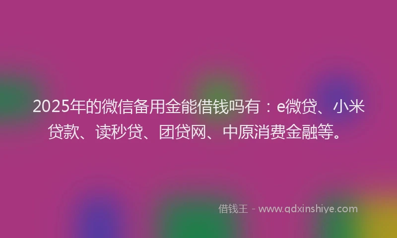 2025年的微信备用金能借钱吗有：e微贷、小米贷款、读秒贷、团贷网、中原消费金融等。