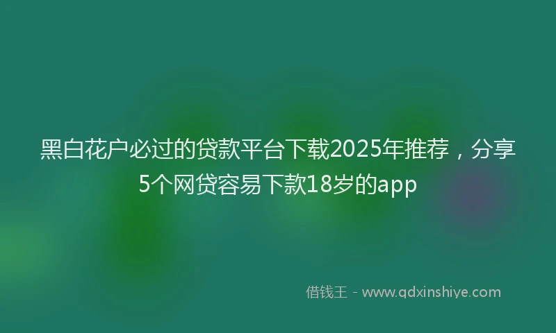 黑白花户必过的贷款平台下载2025年推荐，分享5个网贷容易下款18岁的app