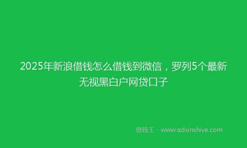 2025年新浪借钱怎么借钱到微信，罗列5个最新无视黑白户网贷口子
