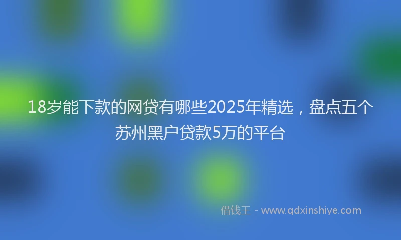 18岁能下款的网贷有哪些2025年精选，盘点五个苏州黑户贷款5万的平台