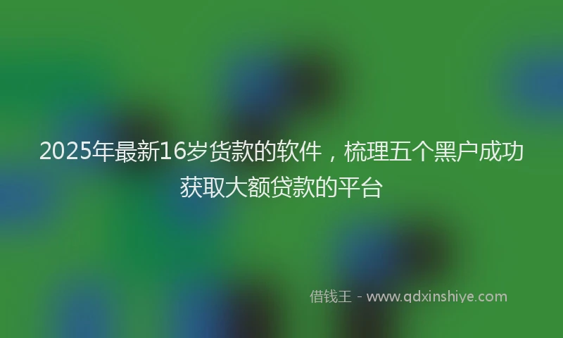 2025年最新16岁货款的软件，梳理五个黑户成功获取大额贷款的平台
