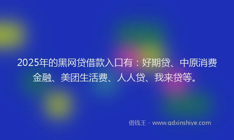 2025年的黑网贷借款入口有：好期贷、中原消费金融、美团生活费、人人贷、我来贷等。