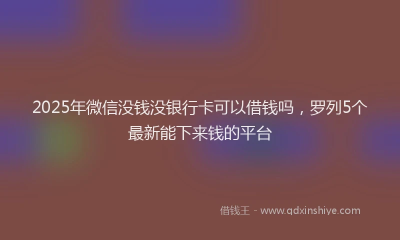 2025年微信没钱没银行卡可以借钱吗，罗列5个最新能下来钱的平台