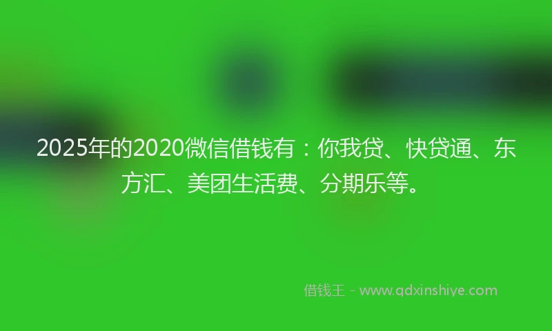 2025年的2020微信借钱有：你我贷、快贷通、东方汇、美团生活费、分期乐等。