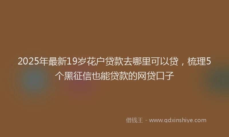 2025年最新19岁花户贷款去哪里可以贷，梳理5个黑征信也能贷款的网贷口子